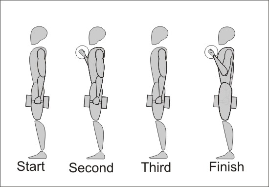 Alternating Dumbell Curl